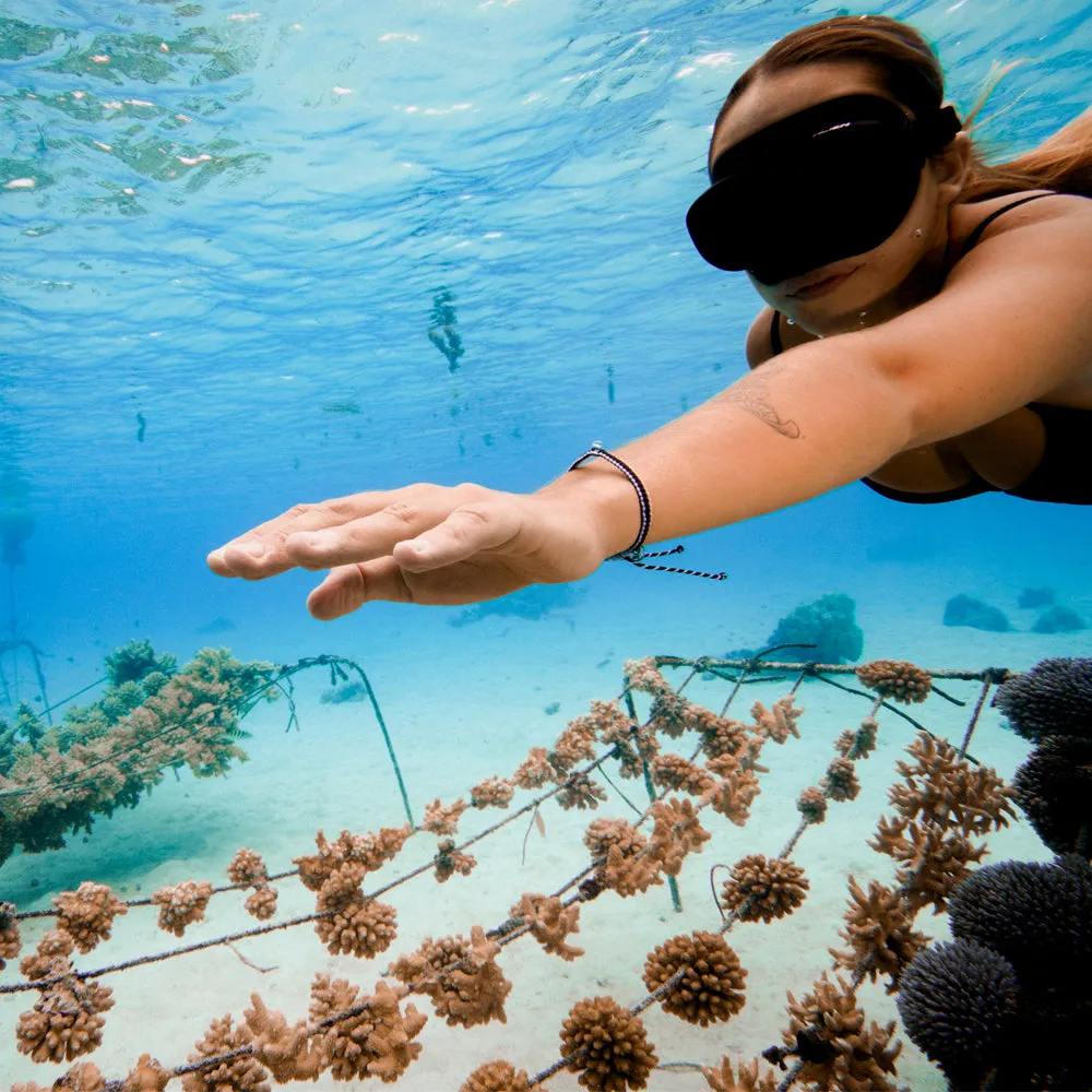 Coral Restoration Bracelet