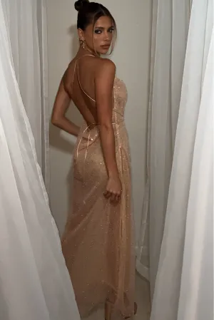 KINSEY GOWN - EMBELLISHED PEACH TULLE & SILK