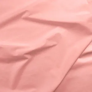 Painters Palette Coral - 598